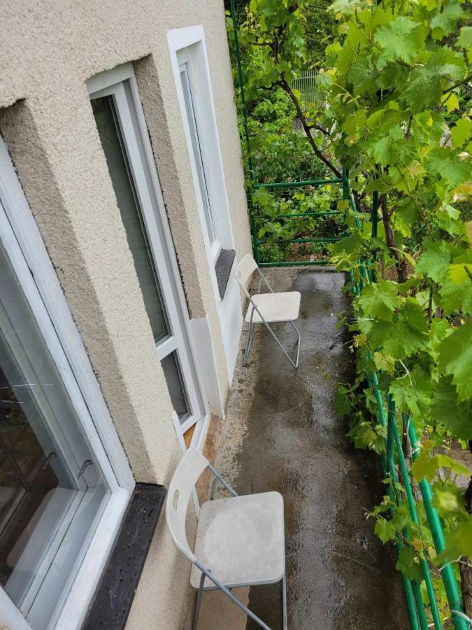 Apartment M&m Berehove (Transcarpathia)